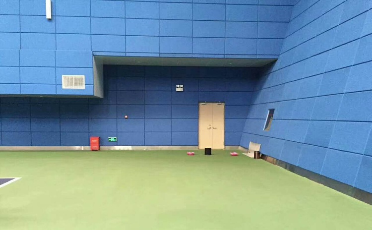 河南焦作體育館軟包吸音板聲學工程